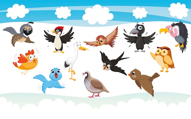 Мультяшные птицы: векторные изображения и иллюстрации ...